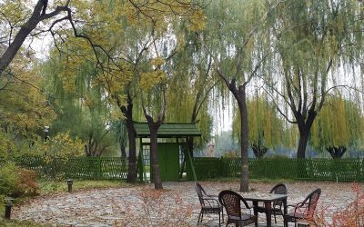 【覺行講座】2019年3月23日 (六)14:00-17:00 【人學的建立–孔孟之道】