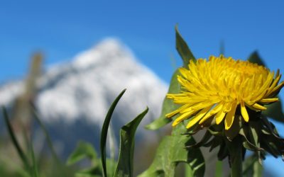 【朱慧慈老師演講訊息】2018年4月24日(二)18:00從靈學看人類意識與人工智慧意識