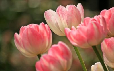 【覺行講座】2018年4月21日(六)14:00放空自我、找回初心、回歸生命本來面目