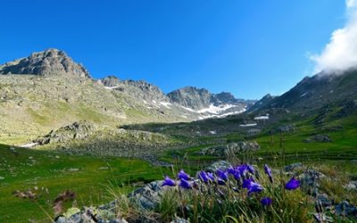 2019年11月9日 (六)14:00-17:00慈悲醫學 樂活人生