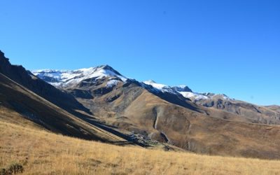 【覺行講座】12月26日 (六)14:00-17:00清華大學陳珠櫻教授主講 「人工生命」不等於「人工智能」─ 淺談人工生命藝術創作