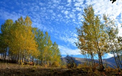 【覺行講座】1/16(六) 14:00-17:00邀請中央研究院兼任研究員暨政治大學講座教授李豐楙教授主講《道家/教之慈：慈善、慈悲及慈濟》