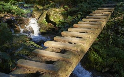 【覺行講座】2019/12/14(六) 14:00-17:00居陋巷，何樂之有？