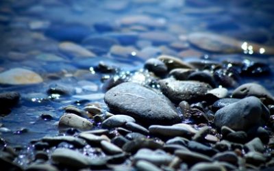 【覺 行 講 座】2018年06月03日 (日)14:00-17:00電影與人生