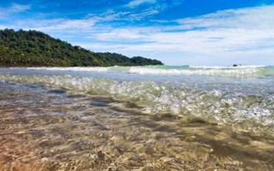 【覺行講座】 2019年10月26日 (六)14:00-17:00 我的一生：一個外交官的故事