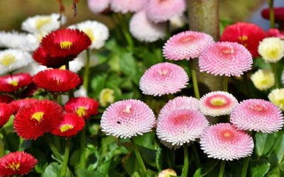 【覺行講座】2019年5月25日 (六)14:00-17:00【與自己相遇】