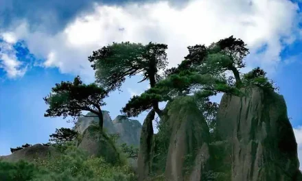 風雨三清山