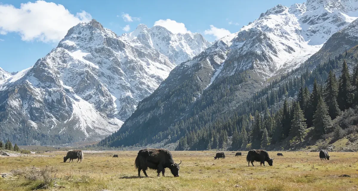 保育與發展-以國家公園系統為例