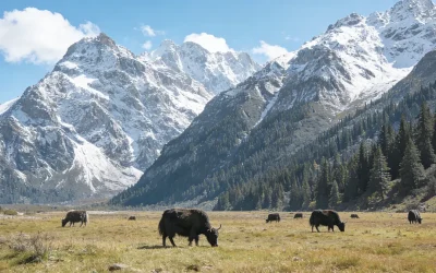 保育與發展-以國家公園系統為例