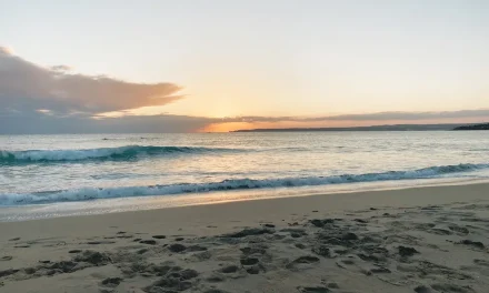 與海為生的小日子